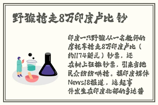 晚上必看的正能量网站